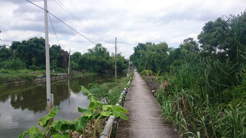 Cycling Tour Bangkok