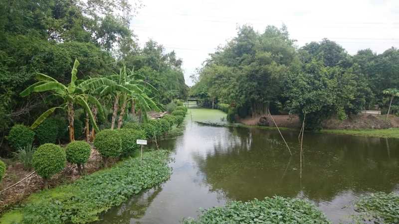 Cycling Tour Bangkok