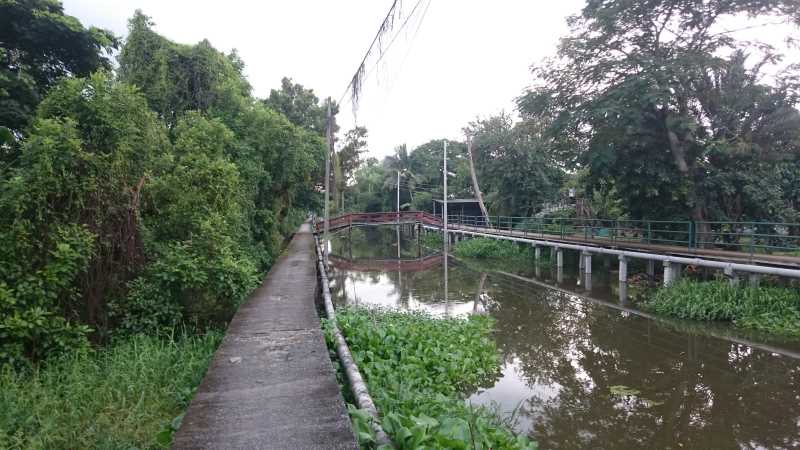 Canals Bangkok