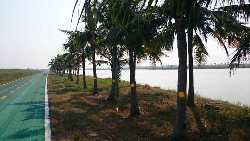 Cycling Tour Bangkok