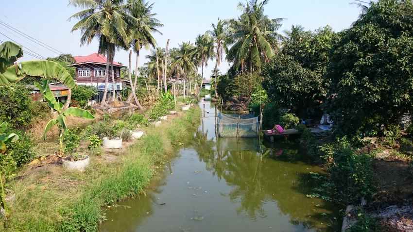 Cycling Tour Bangkok