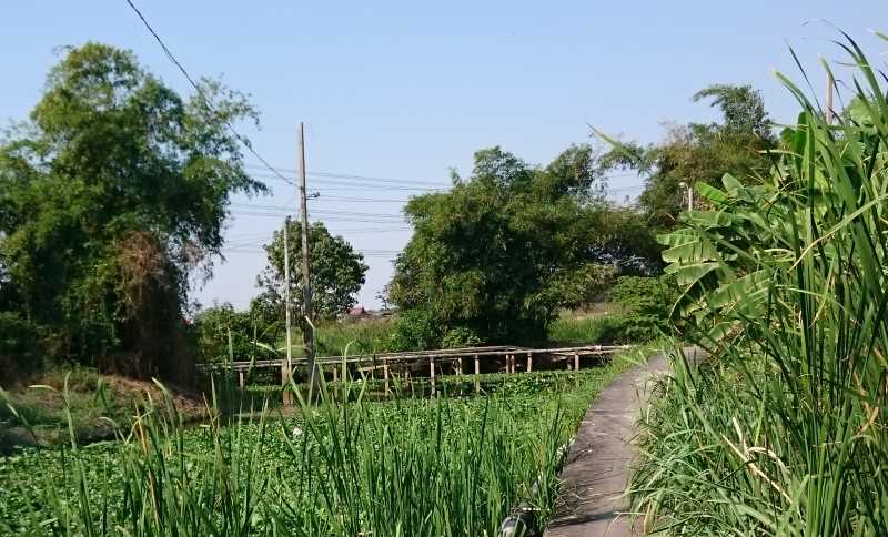 Cycling Tour Bangkok