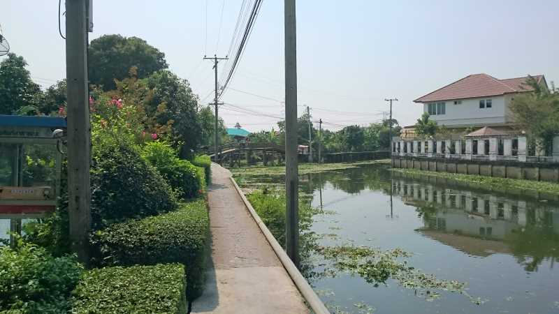 Bangkok Amazing Cyclist