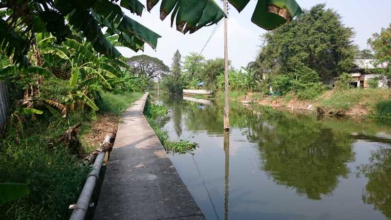 Bicycle Tour Bangkok