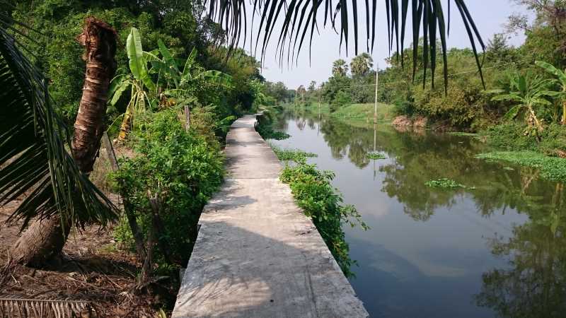 Cycling Tour Bangkok