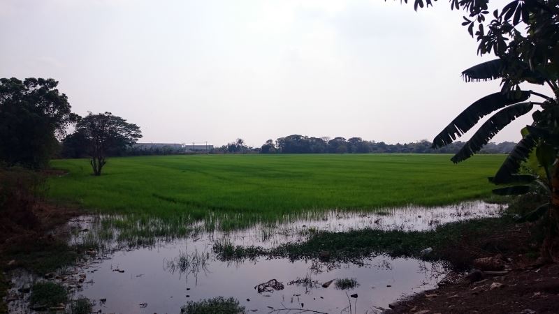 Cycling Tour Bangkok