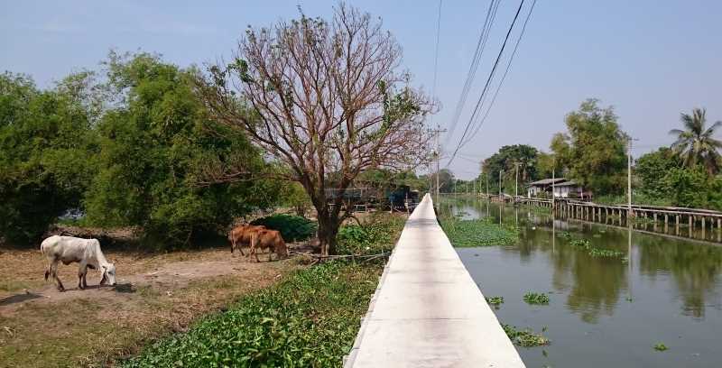 Cycling Tour Bangkok