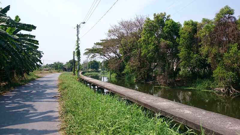 Bicycle Bangkok