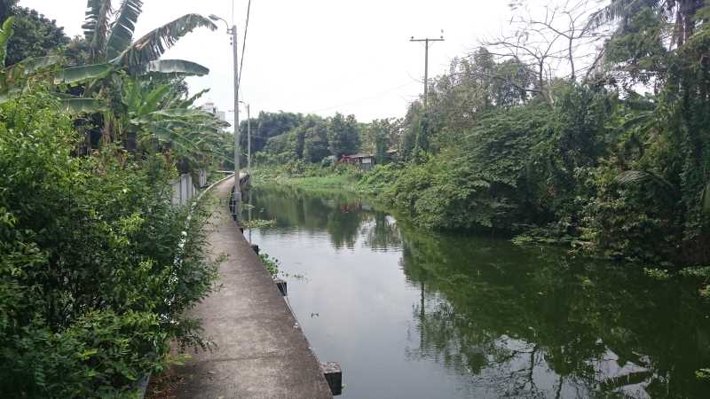 Cycling Tour Bangkok