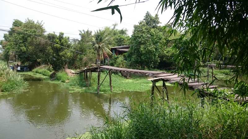 Cycling in Bangkok