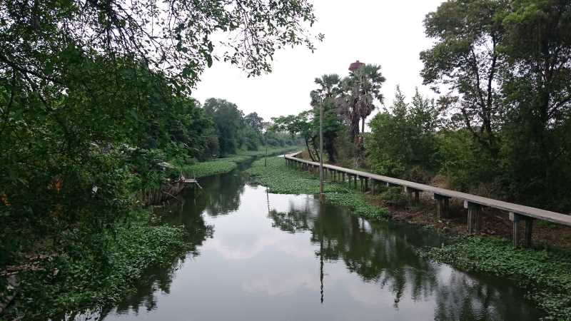 Cycling in Bangkok