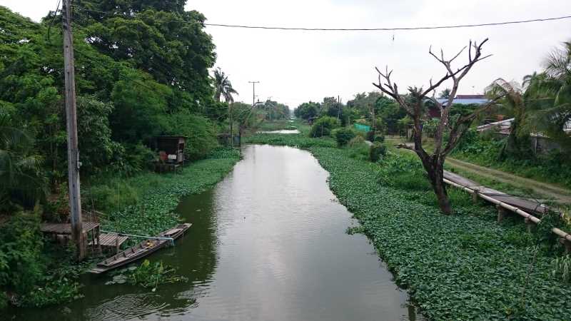 Bicycle Tour Bangkok