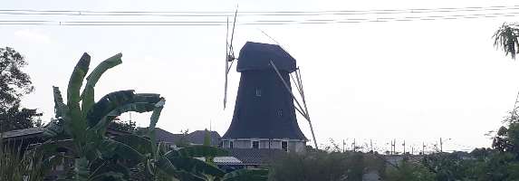 Dutch Mill